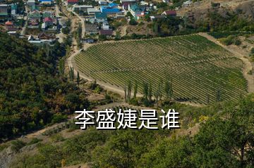 李盛婕是誰