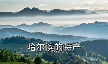 哈爾濱的特產