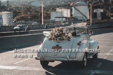 請問山東漢德酒業(yè)有限公司生產(chǎn)的青蘋果果味碳酸飲料他是啤酒嗎  搜