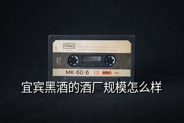 宜賓黑酒的酒廠(chǎng)規(guī)模怎么樣
