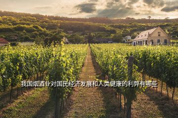 我國煙酒業(yè)對國民經(jīng)濟發(fā)展和人類健康的利弊有哪些