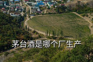 茅臺酒是哪個廠生產(chǎn)