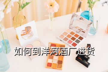 如何到洋河酒廠進貨