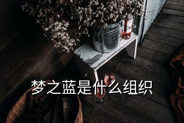 夢(mèng)之藍(lán)是什么組織