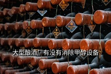 大型釀酒廠有沒(méi)有消除甲醇設(shè)備