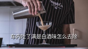 車(chē)內(nèi)吐了滿是白酒味怎么去除