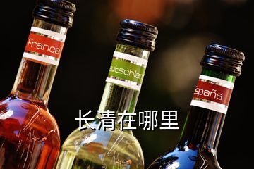 長清在哪里