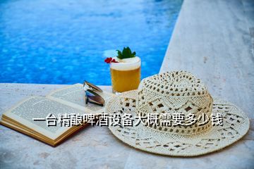 一臺(tái)精釀啤酒設(shè)備大概需要多少錢(qián)