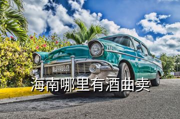 海南哪里有酒曲賣(mài)