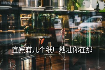 宜賓有幾個紙廠地址你在那