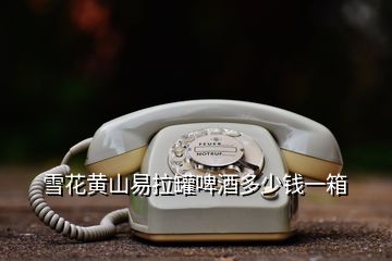 雪花黃山易拉罐啤酒多少錢(qián)一箱