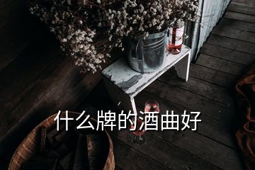 什么牌的酒曲好