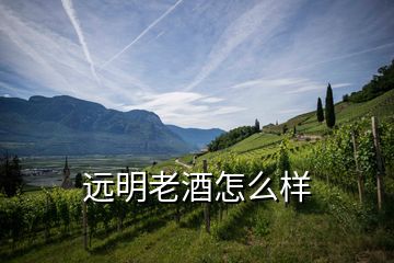 遠明老酒怎么樣