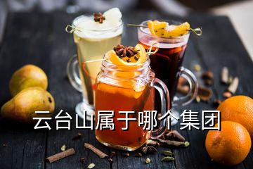 云臺山屬于哪個集團(tuán)