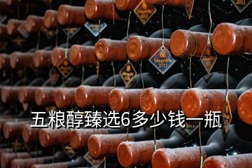 五糧醇臻選6多少錢(qián)一瓶