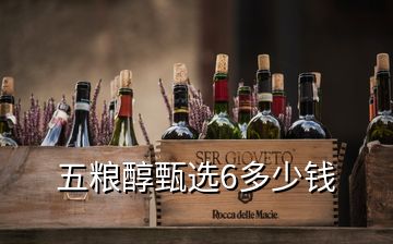 五糧醇甄選6多少錢(qián)
