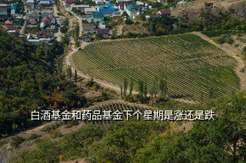 白酒基金和藥品基金下個星期是漲還是跌