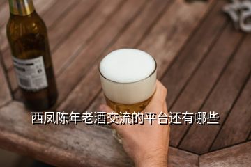 西鳳陳年老酒交流的平臺(tái)還有哪些