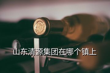 山東清源集團在哪個鎮(zhèn)上