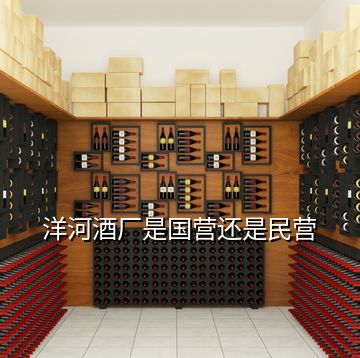 洋河酒廠是國(guó)營(yíng)還是民營(yíng)