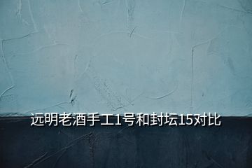 遠(yuǎn)明老酒手工1號(hào)和封壇15對(duì)比