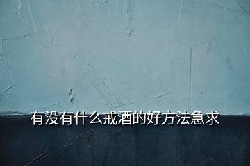 有沒有什么戒酒的好方法急求