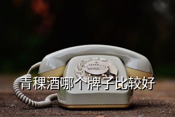 青稞酒哪個(gè)牌子比較好