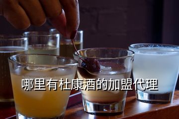 哪里有杜康酒的加盟代理