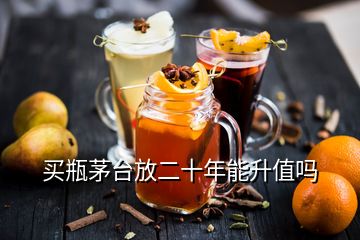 買(mǎi)瓶茅臺(tái)放二十年能升值嗎