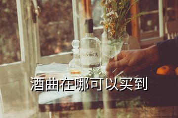 酒曲在哪可以買到