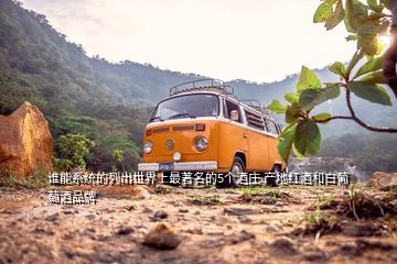 誰能系統(tǒng)的列出世界上最著名的5個(gè)酒莊 產(chǎn)地紅酒和白葡萄酒品牌