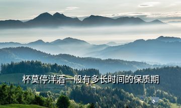 杯莫停洋酒一般有多長時(shí)間的保質(zhì)期