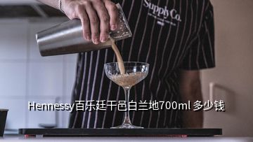 Hennessy百樂(lè)廷干邑白蘭地700ml 多少錢