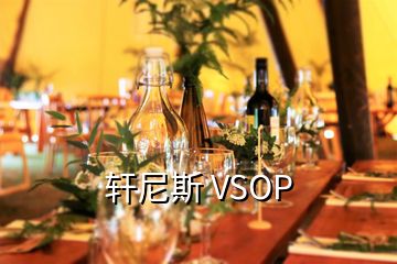 軒尼斯 VSOP