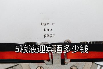 5糧液迎賓酒多少錢