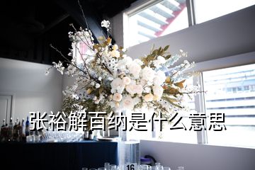 張裕解百納是什么意思