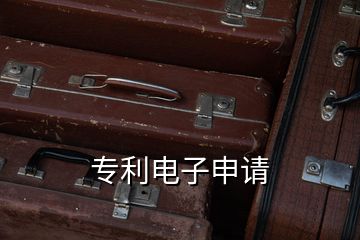 專(zhuān)利電子申請(qǐng)