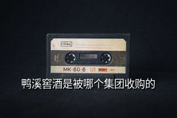 鴨溪窖酒是被哪個(gè)集團(tuán)收購的
