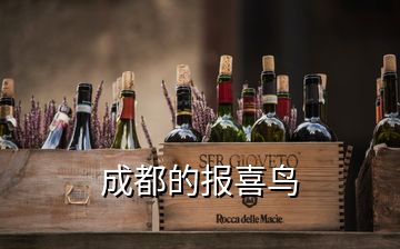 成都的報喜鳥