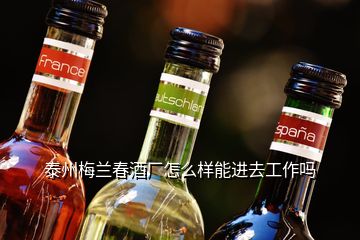 泰州梅蘭春酒廠怎么樣能進去工作嗎