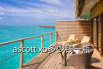 ascott xo多少錢(qián)一瓶
