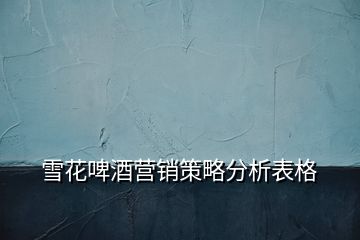 雪花啤酒營銷策略分析表格