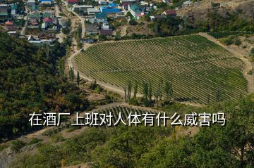 在酒廠上班對(duì)人體有什么威害嗎