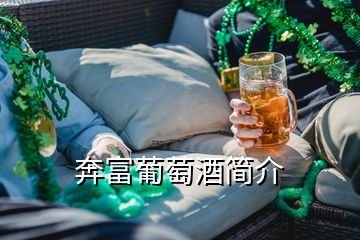 奔富葡萄酒簡(jiǎn)介