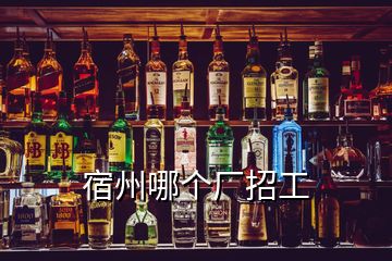 宿州哪個(gè)廠招工