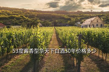 53度醬香型華天下白酒30年價格多少