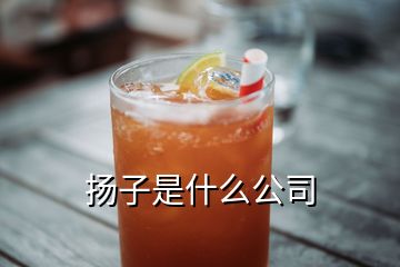 揚(yáng)子是什么公司