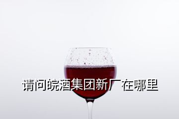 請問皖酒集團(tuán)新廠在哪里