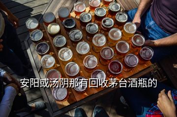 安陽或湯陰那有回收茅臺酒瓶的