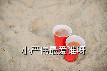小嚴(yán)偉最愛誰(shuí)呀